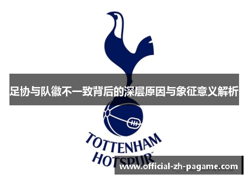 足协与队徽不一致背后的深层原因与象征意义解析