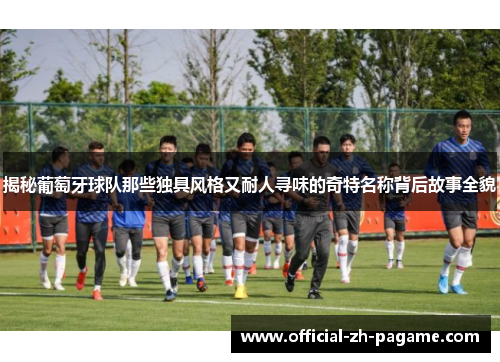 揭秘葡萄牙球队那些独具风格又耐人寻味的奇特名称背后故事全貌