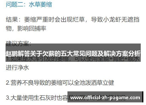 赵鹏解答关于欠薪的五大常见问题及解决方案分析 赵鹏解答关于欠薪的五大常见问题及解决方案分析